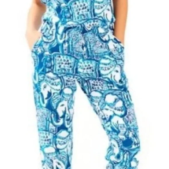 EUC size M Lilly Pulitzer Aislie jumpsuit in indigo keep on truckin - Picture 2 of 4